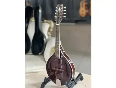 Kentucky Mandolins Kentucky KM-254