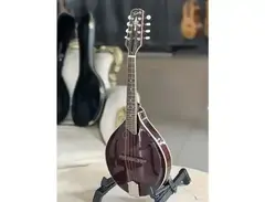 Kentucky Mandolins Kentucky KM-254 main image