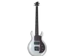 Ace Pro Guitars Acrylic Bass