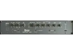 Ibanez AD202
