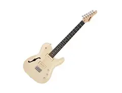 Sub Zero Paradigm Semi-Hollow Electric Guitar