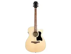 Gecko Musical Intrument Co Gecko GF-40EQ Electro Acoustic Guitar
