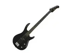 Epiphone embassy standard iv plus main image