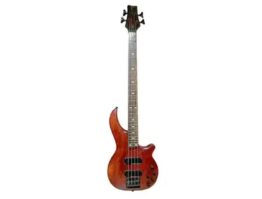 Tanglewood TEB-100 Bass Guitar