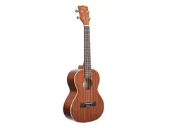 Kala KA-T Tenor Ukulele main image