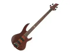 ESP LTD D-4 (2007 - 2018) main image