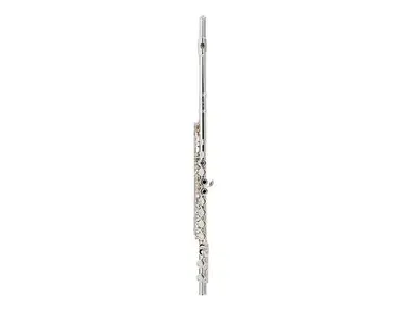 Allora AFL-250 Student Flute with Offset G, C-Foot