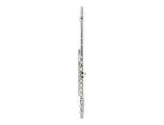 Allora AFL-250 Student Flute with Offset G, C-Foot main image