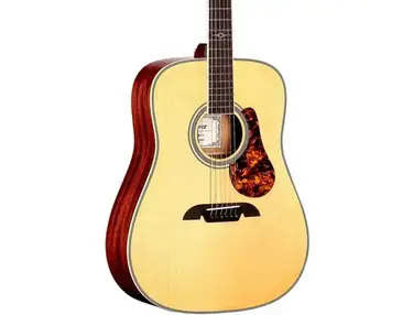 Alvarez Masterworks Series MD60E