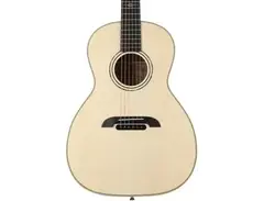Alvarez Yairi Series PYM60HD/14 main image