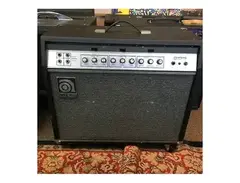 Ampeg G-20 Gemini 20 2-Channel 35-Watt 2x10" Guitar Combo main image