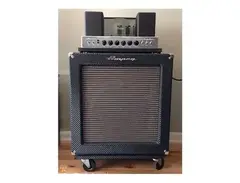 Ampeg B-15R Portaflex 100-Watt 1x15" Fliptop Bass Combo main image