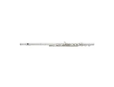 Antigua FL3210 C Flute w/ Case