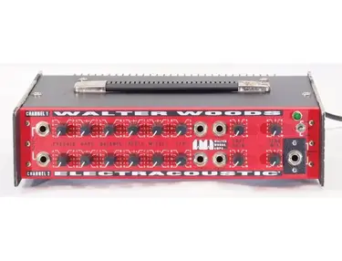 Walter Woods M-300 Electracoustic Bass Amplifier