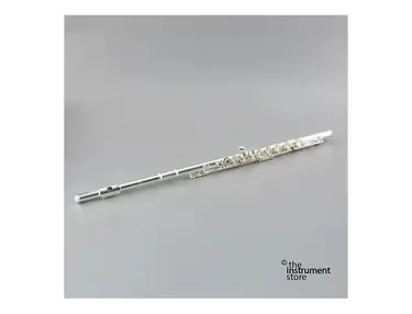 Armstrong 102E Student Model Split E Closed-Hole Flute w/ C Foot, Offset G