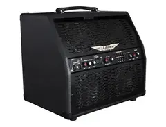 Ashdown Engineering AA-100-R 2-Channel 100-Watt 4x5" Acoustic Guitar Combo main image