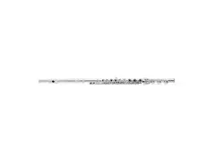 Azumi AZ2-SRB Intermediate Flute with Inline G main image