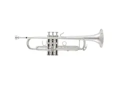 Bach 170S43GYR Stradivarius Professional Bb Trumpet main image