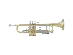 Bach AB190 Stradivarius Artisan Professional Model Bb Trumpet main image