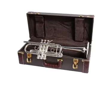 Bach C180SL229W93 C180 Stradivarius Professional C Trumpet