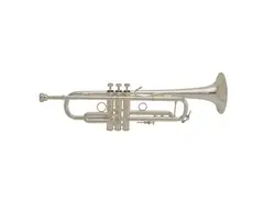 Bach LR190S43B Stradivarius Professional Model Bb Trumpet