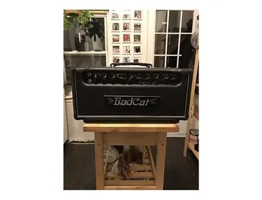 Bad Cat Hot Cat 50R 50-Watt Guitar Amp Head with Reverb