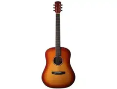 Bedell Revolution Dreadnought main image