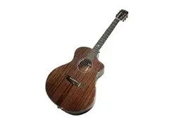 Bedell Seed to Song Custom Orchestra main image