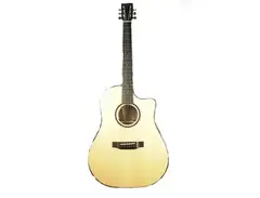 Bedell Spotlight Series Limited Edition Dreadnought Cutaway main image