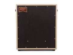 Benson Amps 15N 450-Watt 1x15" Bass Speaker Cabinet main image