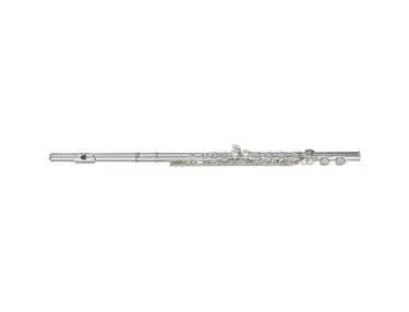 Blessing BFL1287 Standard C Flute
