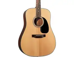 Blueridge Contemporary Series BR-40 main image