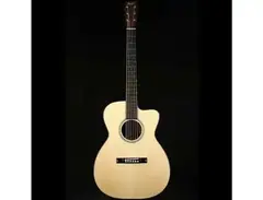 Bourgeois Legacy Series Soloist OM main image