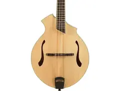 Breedlove Crossover KF F-Style Mandolin main image