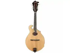 Breedlove Crossover FO F-Style Mandolin main image