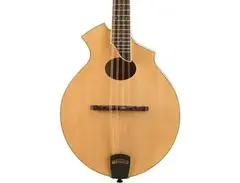 Breedlove	Crossover KO A-Style Mandolin main image