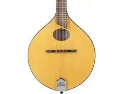 Breedlove Crossover OO A-Style Mandolin main image