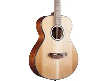 Breedlove	Discovery Companion