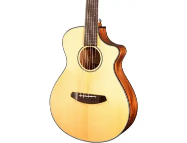 Breedlove	Discovery Companion CE