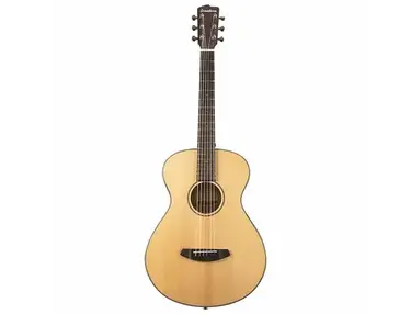 Breedlove	Discovery Concertina