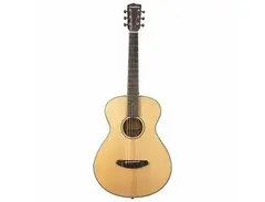 Breedlove	Discovery Concertina main image