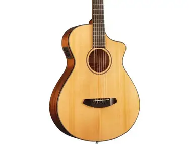 Breedlove	Discovery Concertina CE