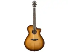 Breedlove	Discovery Concerto CE main image