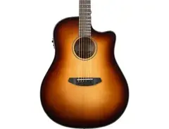 Breedlove Discovery Dreadnought CE main image