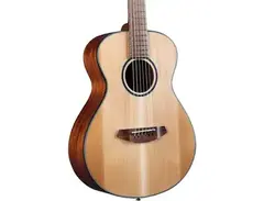 Breedlove Discovery S Companion main image
