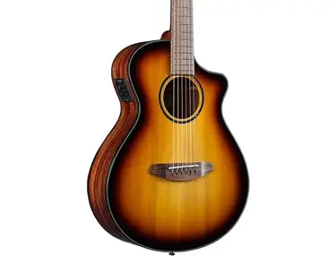 Breedlove Discovery S Companion CE