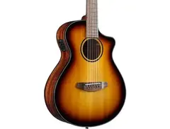 Breedlove Discovery S Companion CE main image