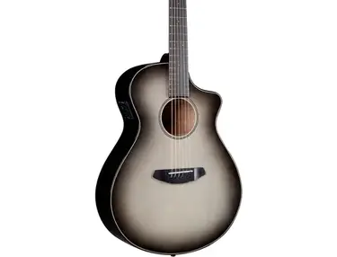 Breedlove Discovery S Concert