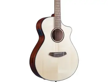 Breedlove Discovery S Concert CE