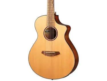 Breedlove Discovery S Concert CE Nylon